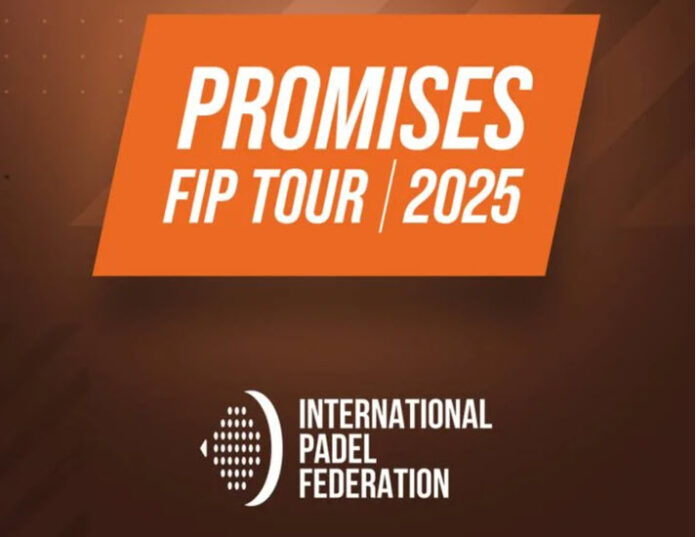 Fip Promises